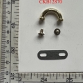 CKB12870