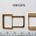CKB12876
