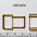CKB12876