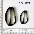 CKB12891