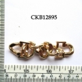 CKB12895