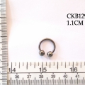 CKB12986