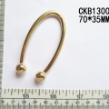 CKB13009
