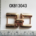 CKB13043