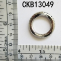 CKB13049