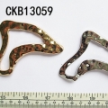CKB13059