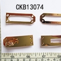 CKB13074