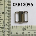 CKB13096