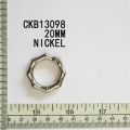 CKB13098