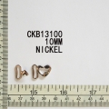 CKB13100
