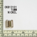 CKB13101