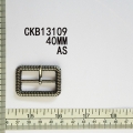 CKB13109