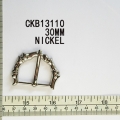 CKB13110