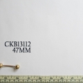 CKB13112