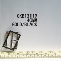 CKB13119