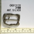 CKB13120