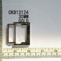 CKB13124