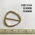 CKB13164
