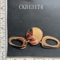 CKB13174