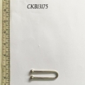 CKB13175
