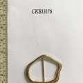 CKB13176