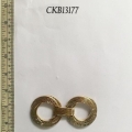 CKB13177