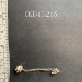 CKB13215