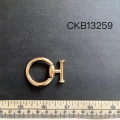 CKB13259