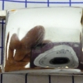 CKB2414