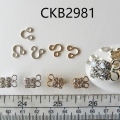 CKB2981