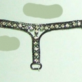 CKB5493