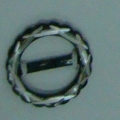 CKB8459