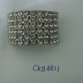 CKB8811