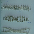 CKB8831-8834