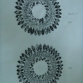 CKB9536