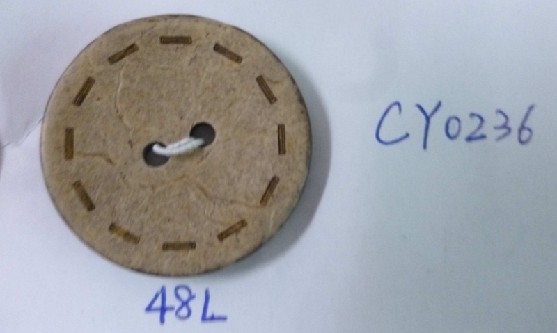 CY0236
