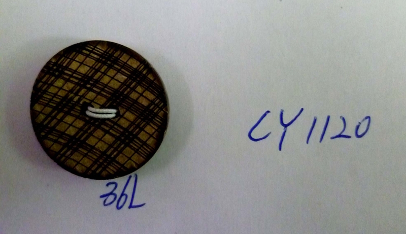 CY1120