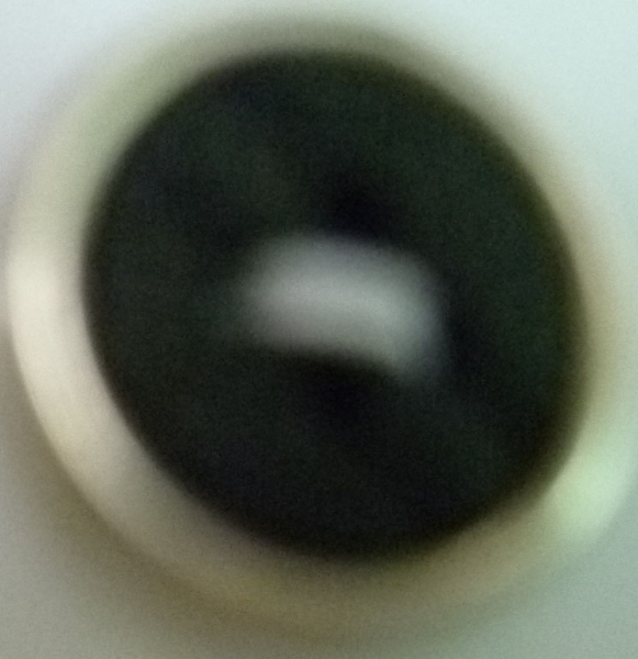 CY1650