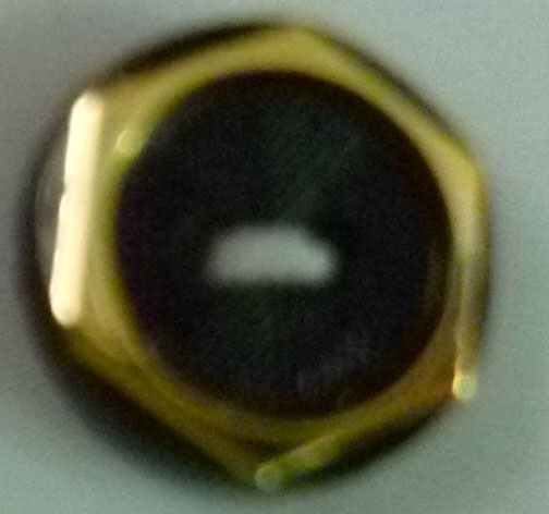 CY1654