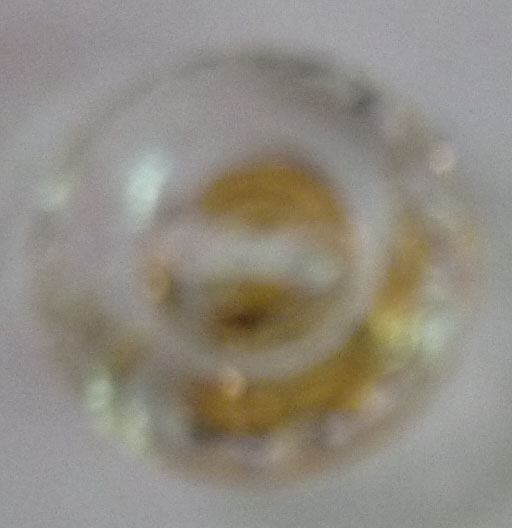 CY1660