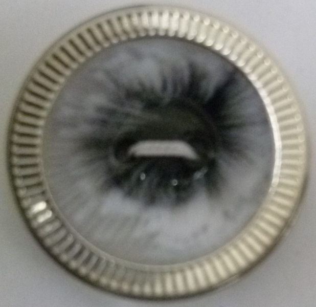 CY1695