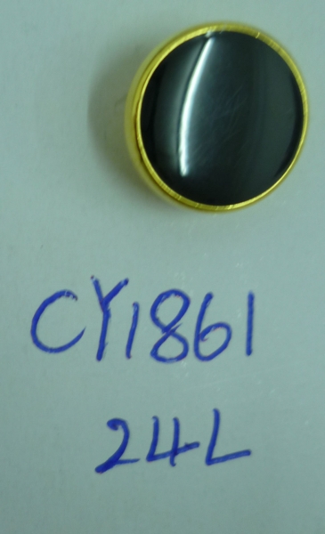 CY1861