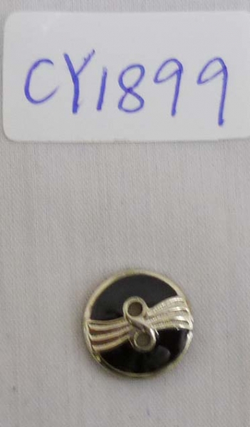 CY1899