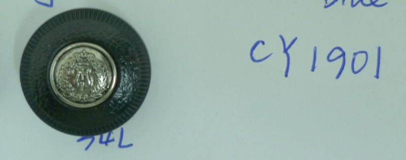 CY1901