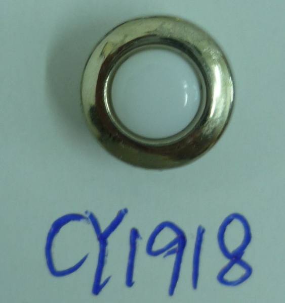 CY1918
