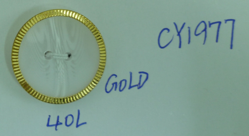 CY1977
