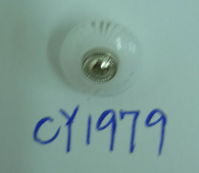 CY1979