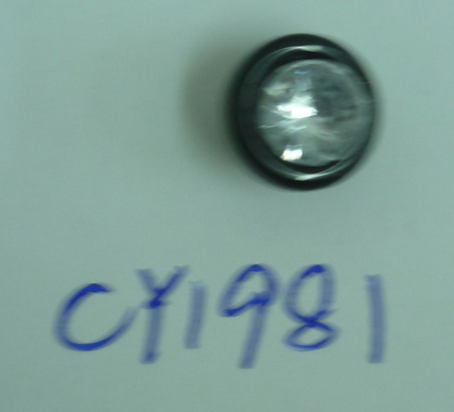 CY1981
