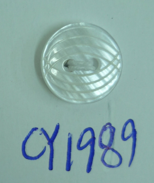 CY1989