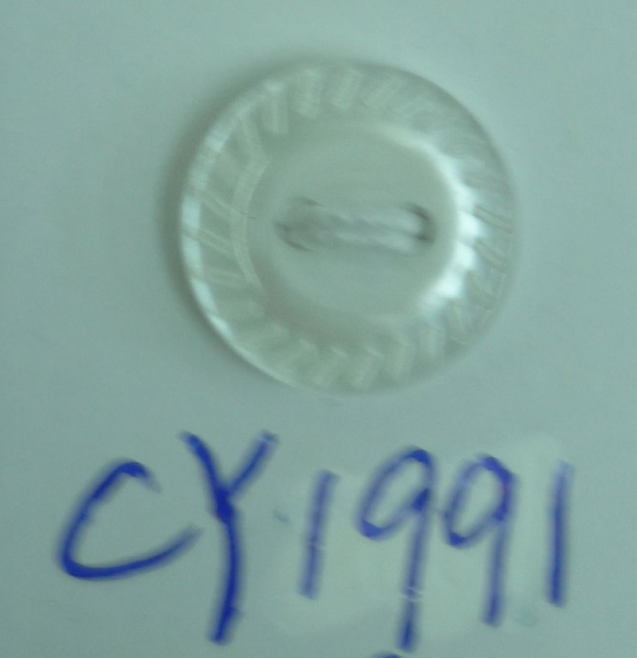 CY1991
